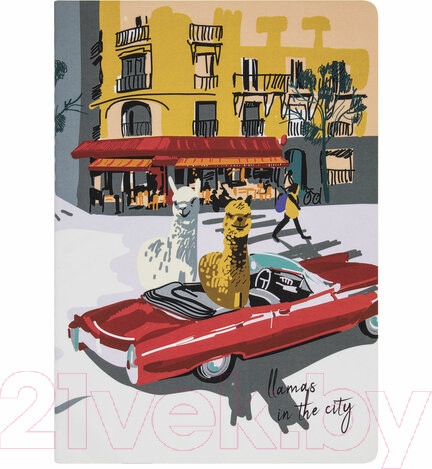 Изображение товара Набор тетрадей Brauberg Путешествие / 403799 (3шт)