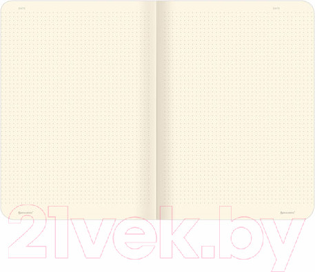 Изображение товара Набор тетрадей Brauberg Memories / 403803 (3шт)