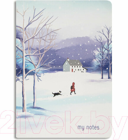 Изображение товара Набор тетрадей Brauberg Memories / 403803 (3шт)