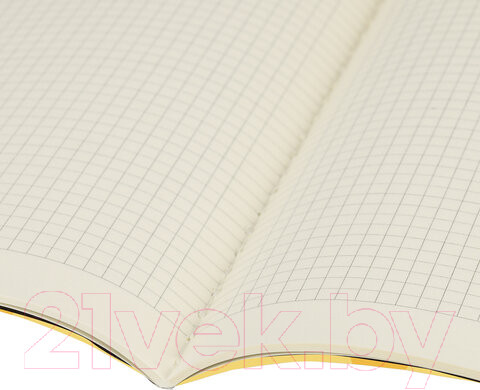 Изображение товара Тетрадь Brauberg Foxy / 403815 (60л)