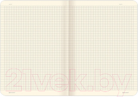 Изображение товара Тетрадь Brauberg Foxy / 403815 (60л)