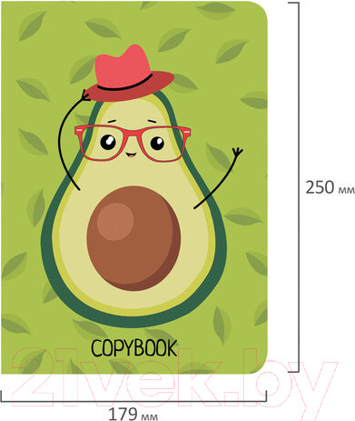 Изображение товара Набор тетрадей Brauberg Контраст / 403826 (2шт)