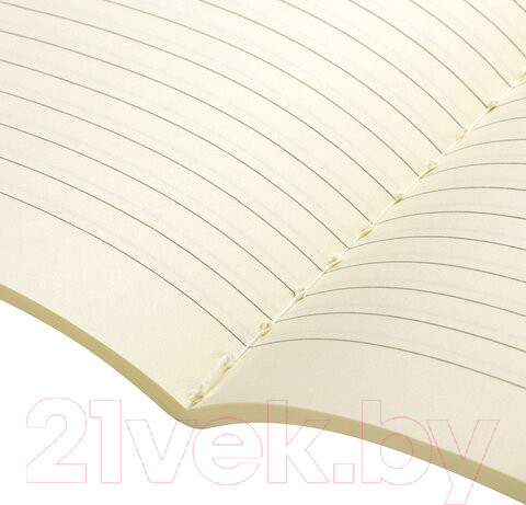 Изображение товара Набор тетрадей Brauberg Контраст / 403826 (2шт)