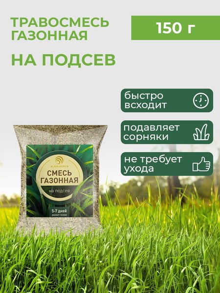 Изображение товара Семена газонной травы Зеленая Русь На подсев (150гр)