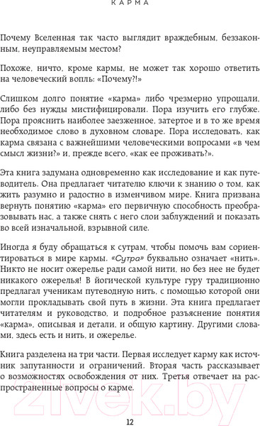 Изображение товара Книга Эксмо Карма. Как стать творцом своей судьбы (Садхгуру)
