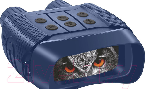 Изображение товара Бинокль Levenhuk Discovery Night BL10 / 79645