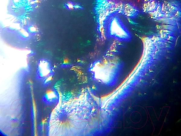 Изображение товара Набор оптических приборов Levenhuk Discovery Scope 2 с книгой / 77821