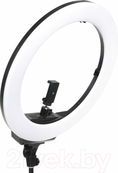 Изображение товара Кольцевая лампа Falcon Eyes BeautyLight 480LS Led со стойкой / 28492