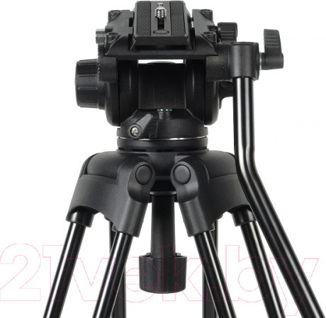 Изображение товара Штатив GreenBean VideoMaster 309MS / 28663