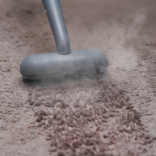 Изображение товара Пароочиститель Bort BDR-3000-RR (93722425)