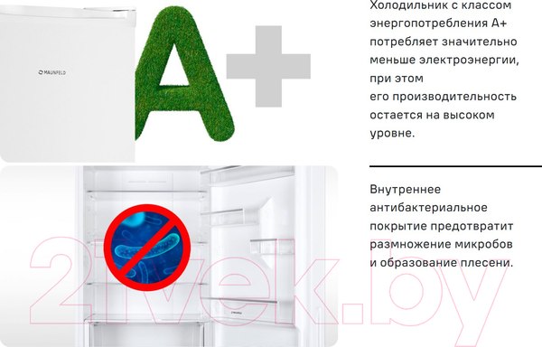 Изображение товара Холодильник без морозильника Maunfeld MFF 83B