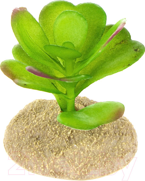 Изображение товара Декорация для террариума Terra Della Суккулент / 242/465875 (зеленый)