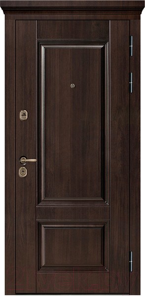 Изображение товара Входная дверь Металюкс М85/14 (96x205, правая)