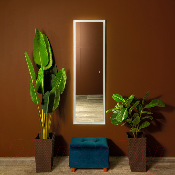 Изображение товара Зеркало Silver Mirrors Моника 45x150 / ФР-00001406