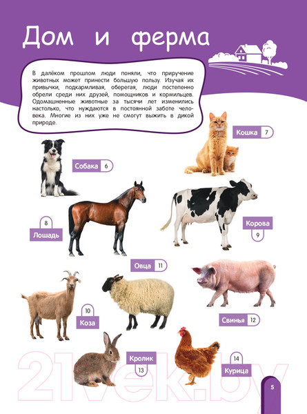 Изображение товара Энциклопедия Эксмо Удивительный мир животных. Энциклопедия для детей (Баранова Н.)