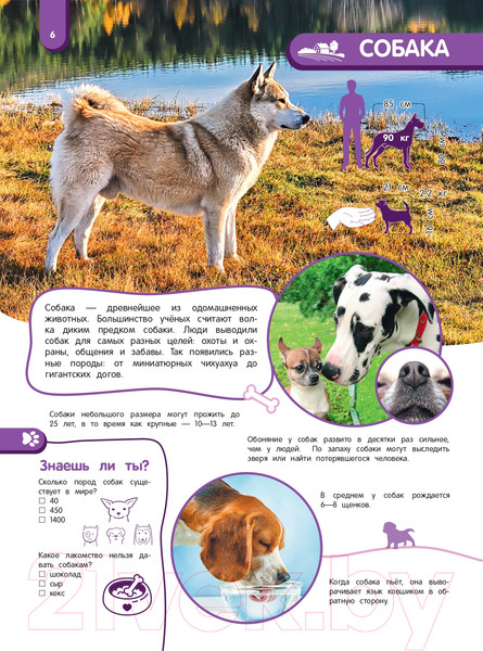 Изображение товара Энциклопедия Эксмо Удивительный мир животных. Энциклопедия для детей (Баранова Н.)