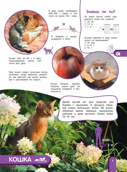 Изображение товара Энциклопедия Эксмо Удивительный мир животных. Энциклопедия для детей (Баранова Н.)