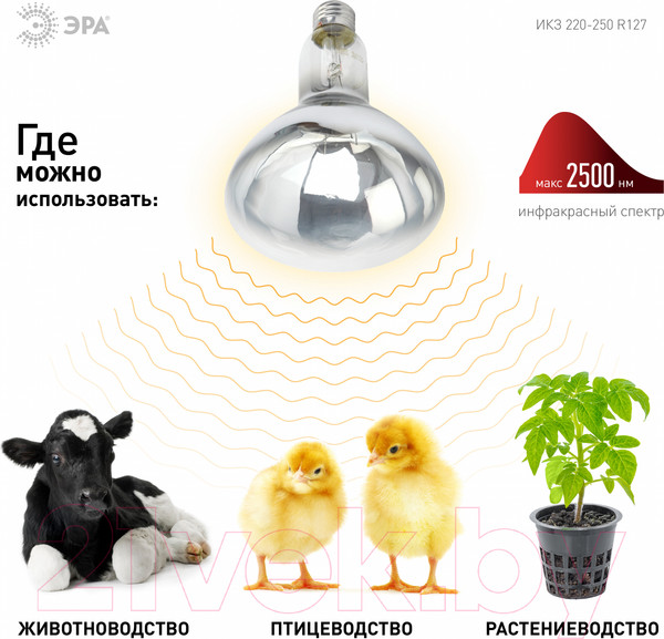 Изображение товара Лампа для растений ЭРА ИКЗ 220-250 R127 / Б0055440