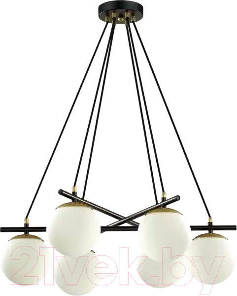 Изображение товара Люстра Lumion Randi 5212/6