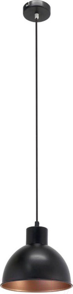 Изображение товара Потолочный светильник Eglo Truro 1 49238