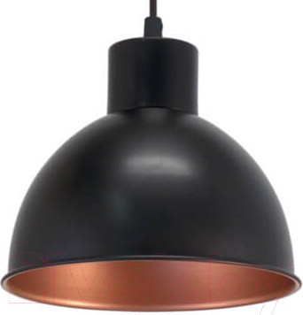 Изображение товара Потолочный светильник Eglo Truro 1 49238