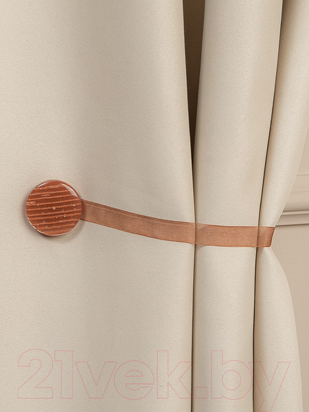 Изображение товара Комплект клипс для штор Ajur M10-10 Lenta магнитный / 79012 (2шт, коричневый)