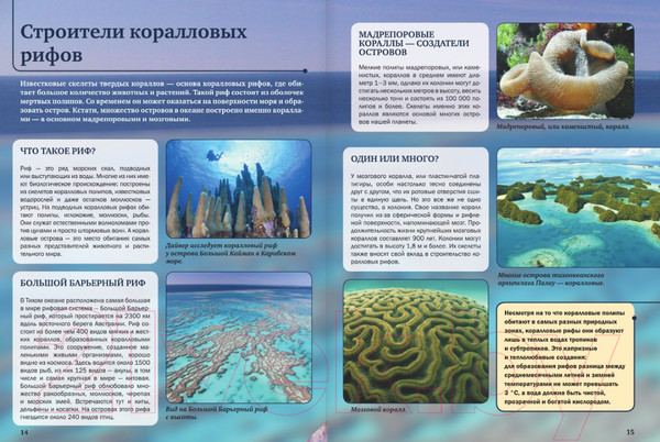 Изображение товара Энциклопедия АСТ Подводный мир (Спектор А.А., Гордеева Е.А.)