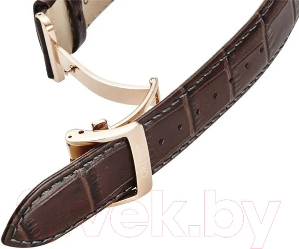 Изображение товара Часы наручные мужские Orient Automatic RA-AK0009T