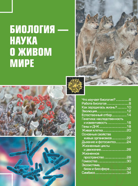 Изображение товара Энциклопедия АСТ Большая детская 4D энциклопедия с дополненной реальностью