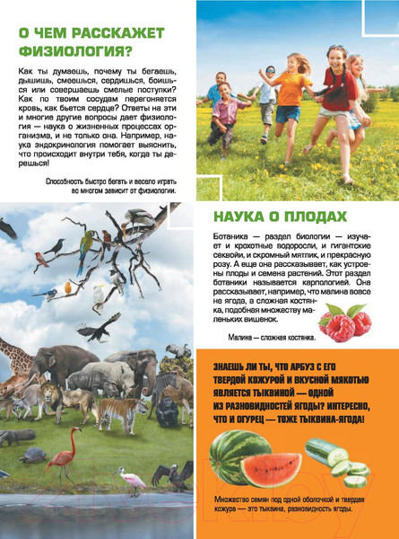 Изображение товара Энциклопедия АСТ Большая детская 4D энциклопедия с дополненной реальностью