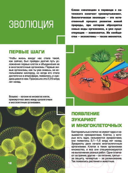 Изображение товара Энциклопедия АСТ Большая детская 4D энциклопедия с дополненной реальностью