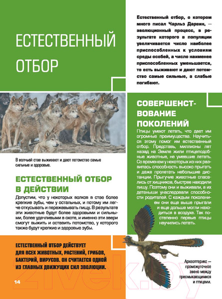 Изображение товара Энциклопедия АСТ Большая детская 4D энциклопедия с дополненной реальностью