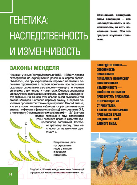 Изображение товара Энциклопедия АСТ Большая детская 4D энциклопедия с дополненной реальностью