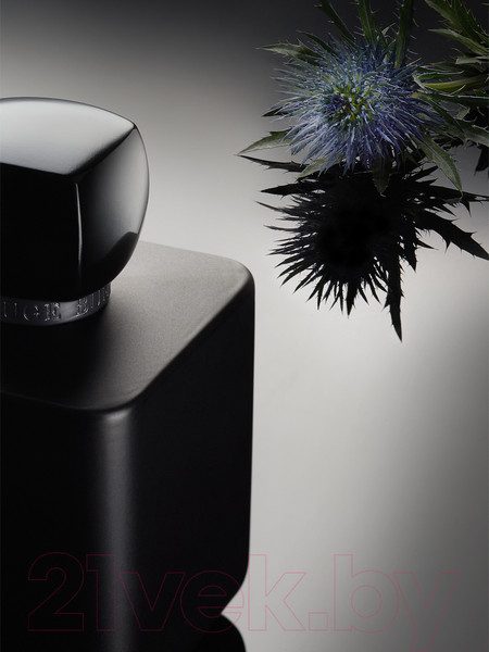 Изображение товара Парфюмерная вода Rouge Bunny Rouge Incognito (100мл)