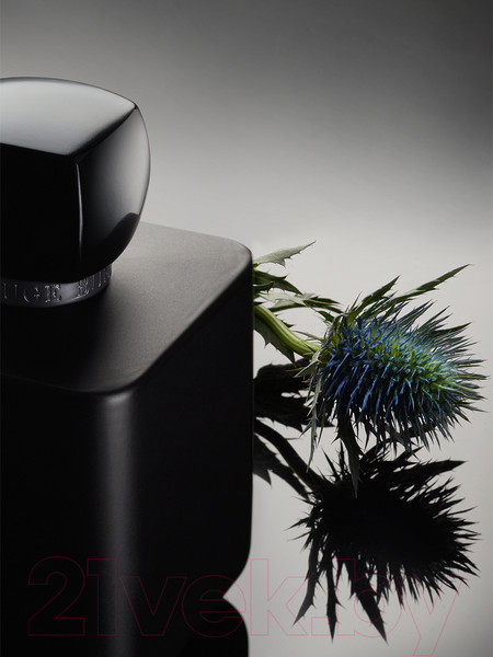 Изображение товара Парфюмерная вода Rouge Bunny Rouge Incognito (100мл)