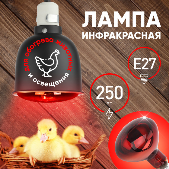 Изображение товара Лампа для растений ЭРА ИКЗК 220-250 R127 / Б0055442