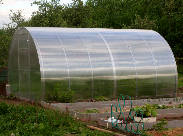 Изображение товара Теплица КомфортПром 3x8м(1) / 10014060 (с поликарбонатом)