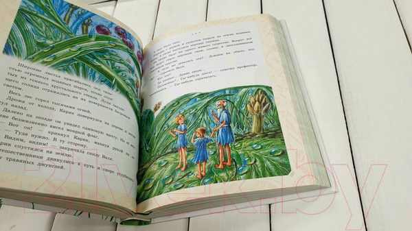 Изображение товара Книга АСТ Необыкновенные приключения Карика и Вали. Самая большая книга (Ларри Я.Л.)