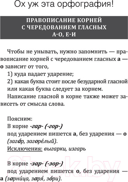 Изображение товара Учебное пособие АСТ Русский язык! Большой понятный самоучитель
