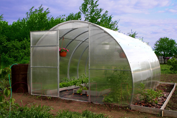 Изображение товара Теплица КомфортПром 3.3x10м(1) / 10014084 (с поликарбонатом)