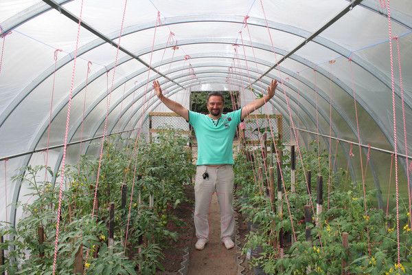 Изображение товара Теплица КомфортПром 3.3x6м(0.67) / 10014090 (с поликарбонатом)