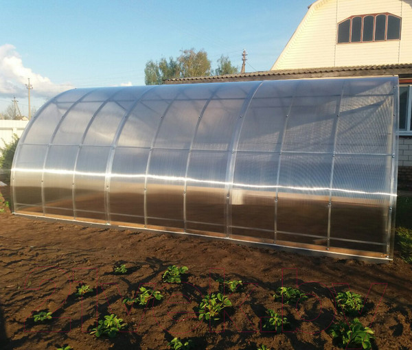 Изображение товара Теплица КомфортПром 3.5x8м(1) / 10014098 (с поликарбонатом)