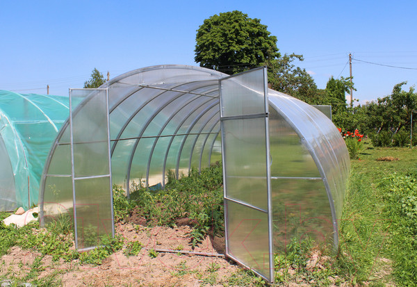 Изображение товара Теплица КомфортПром 3.5x8м(1) / 10014100 (с поликарбонатом)