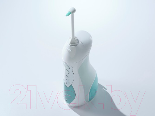 Изображение товара Ирригатор Panasonic EW1313G321