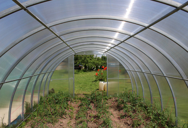 Изображение товара Теплица КомфортПром 3.5x12м(0.67) / 10014106 (с поликарбонатом)