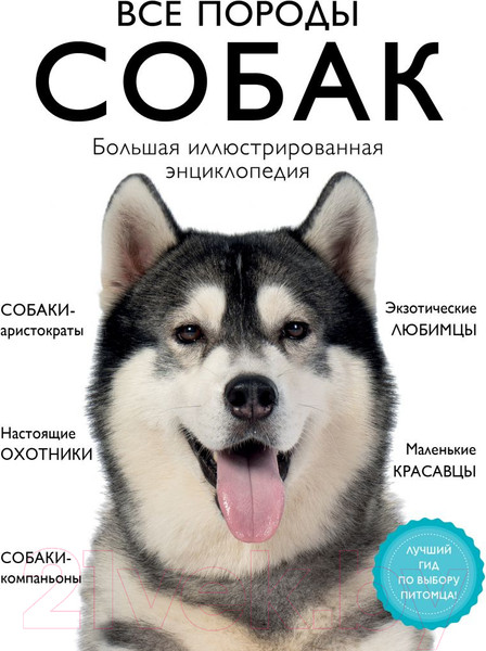 Изображение товара Энциклопедия Эксмо Все породы собак (Сула Г., Яворская-Милешкина Е., Сафронова А.)