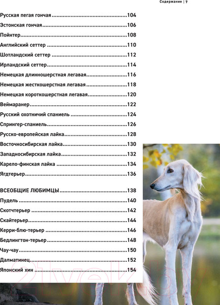 Изображение товара Энциклопедия Эксмо Все породы собак (Сула Г., Яворская-Милешкина Е., Сафронова А.)