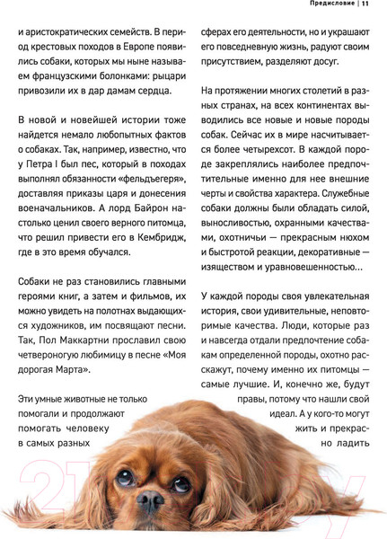 Изображение товара Энциклопедия Эксмо Все породы собак (Сула Г., Яворская-Милешкина Е., Сафронова А.)