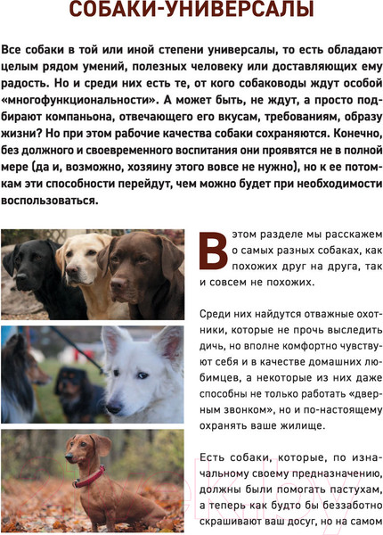 Изображение товара Энциклопедия Эксмо Все породы собак (Сула Г., Яворская-Милешкина Е., Сафронова А.)
