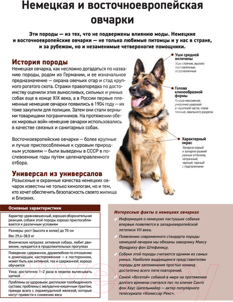 Изображение товара Энциклопедия Эксмо Все породы собак (Сула Г., Яворская-Милешкина Е., Сафронова А.)